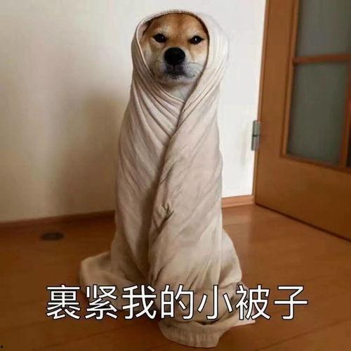 腰椎间盘突出表情包,趣味解读腰痛困扰