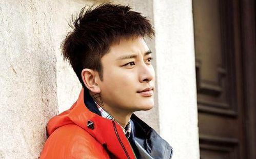 贾乃亮个人资料整容前,揭秘明星颜值逆袭之路